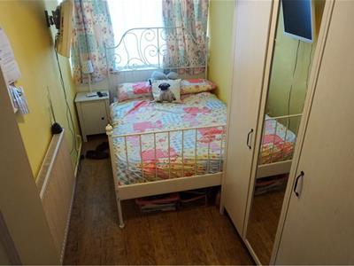 Picture 15